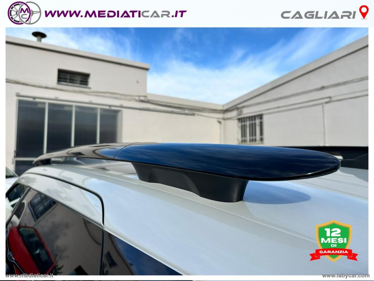 CITROEN C4 Cactus BlueHDi 100 Shine