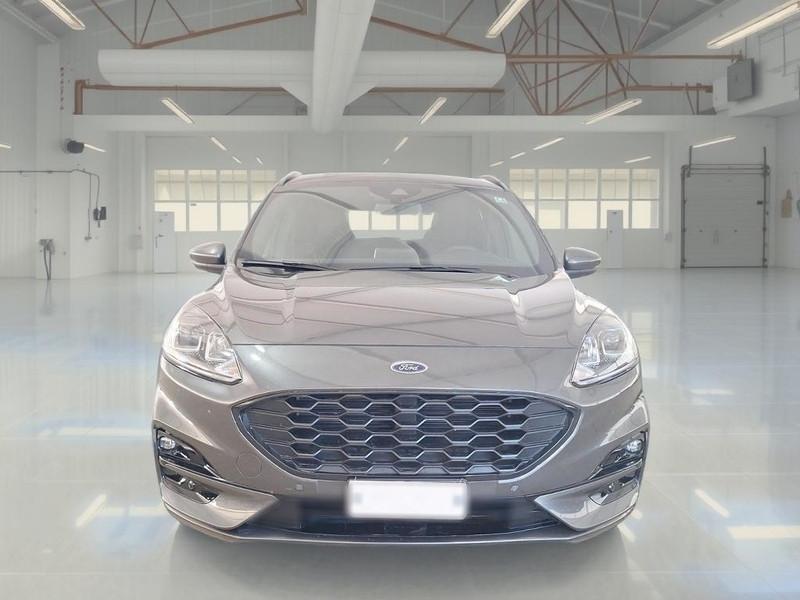 FORD KUGA 2.0 EcoBlue 120CV 2WD ST-Line Business Auto