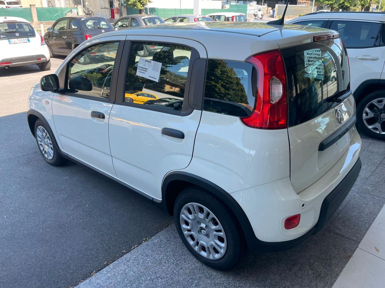 Fiat Panda 1.0 FireFly S&S Hybrid Pandina