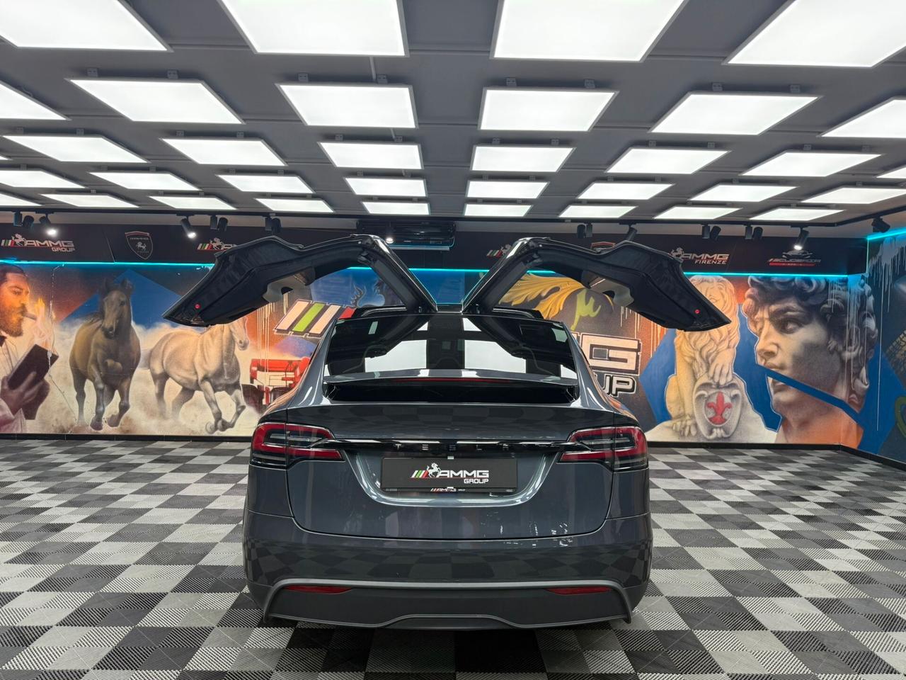 Tesla Model X LONG RANGE (734)