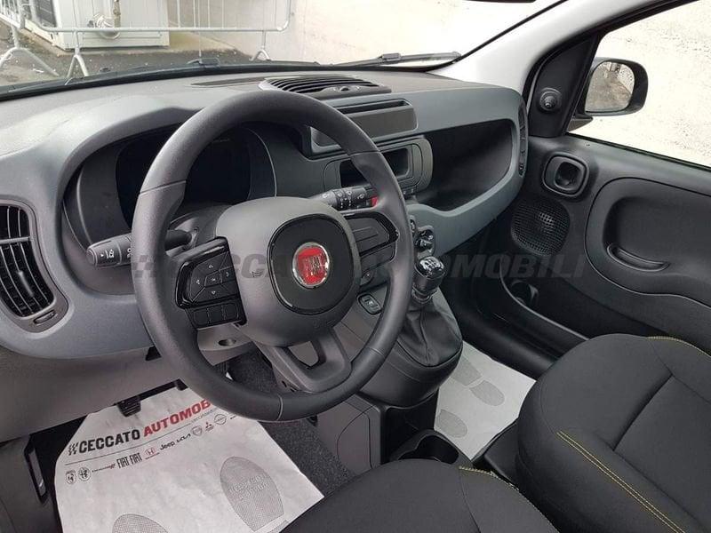 FIAT Panda Panda 1.0 70cv Hybrid Panda