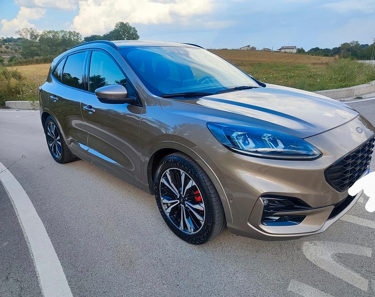 Ford Kuga 1.5 EcoBlue 120 CV aut. 2WD ST-Line Full.