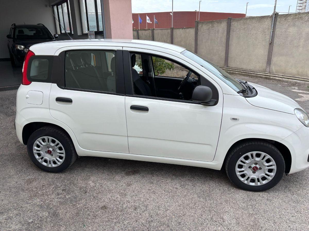 FIAT Panda 1.2 Easy 5 POSTI