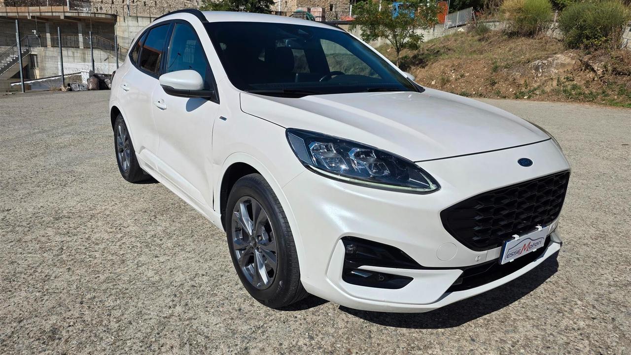 Ford Kuga 1.5 EcoBlue 120 CV aut. 2WD ST-Line X
