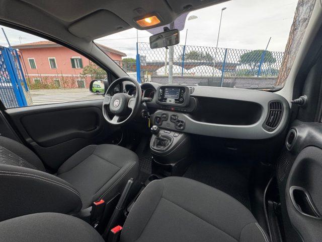 FIAT Panda 1.0 FireFly S&S Hybrid City Life *OK NEOPATENTATI*