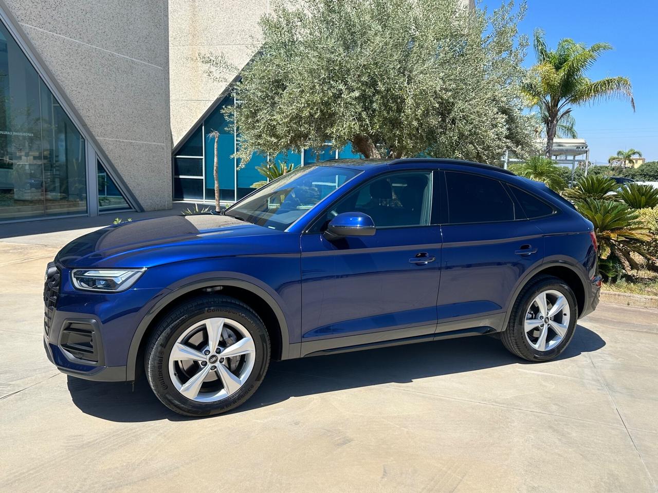 Audi Q5 40 TDI 204 CV quattro S tronic Business Advanced