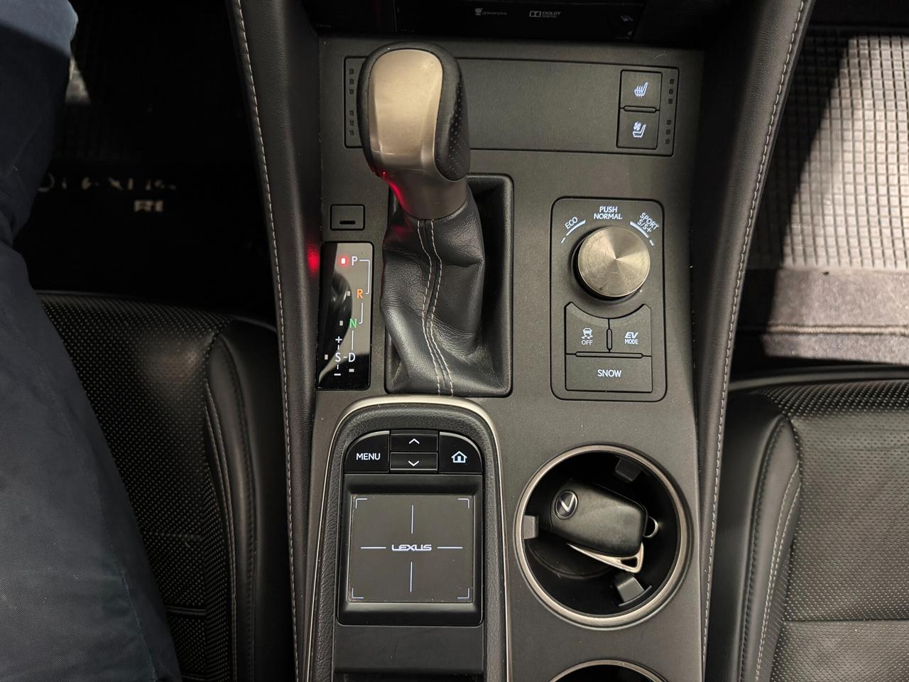 Lexus RC 300h Hybrid F Sport