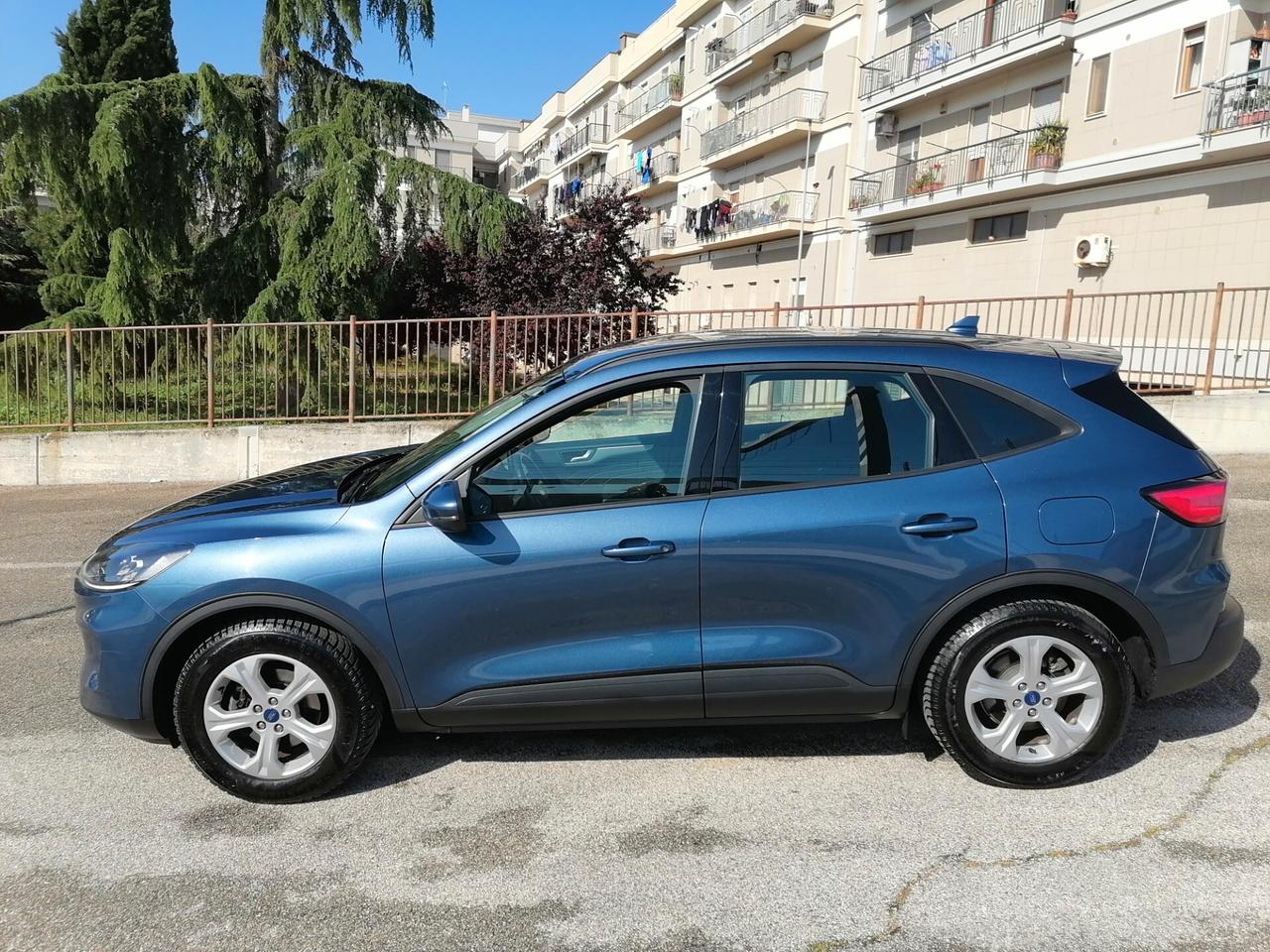 Ford Kuga 1.5 EcoBlue 120 CV 2WD Titanium 2022