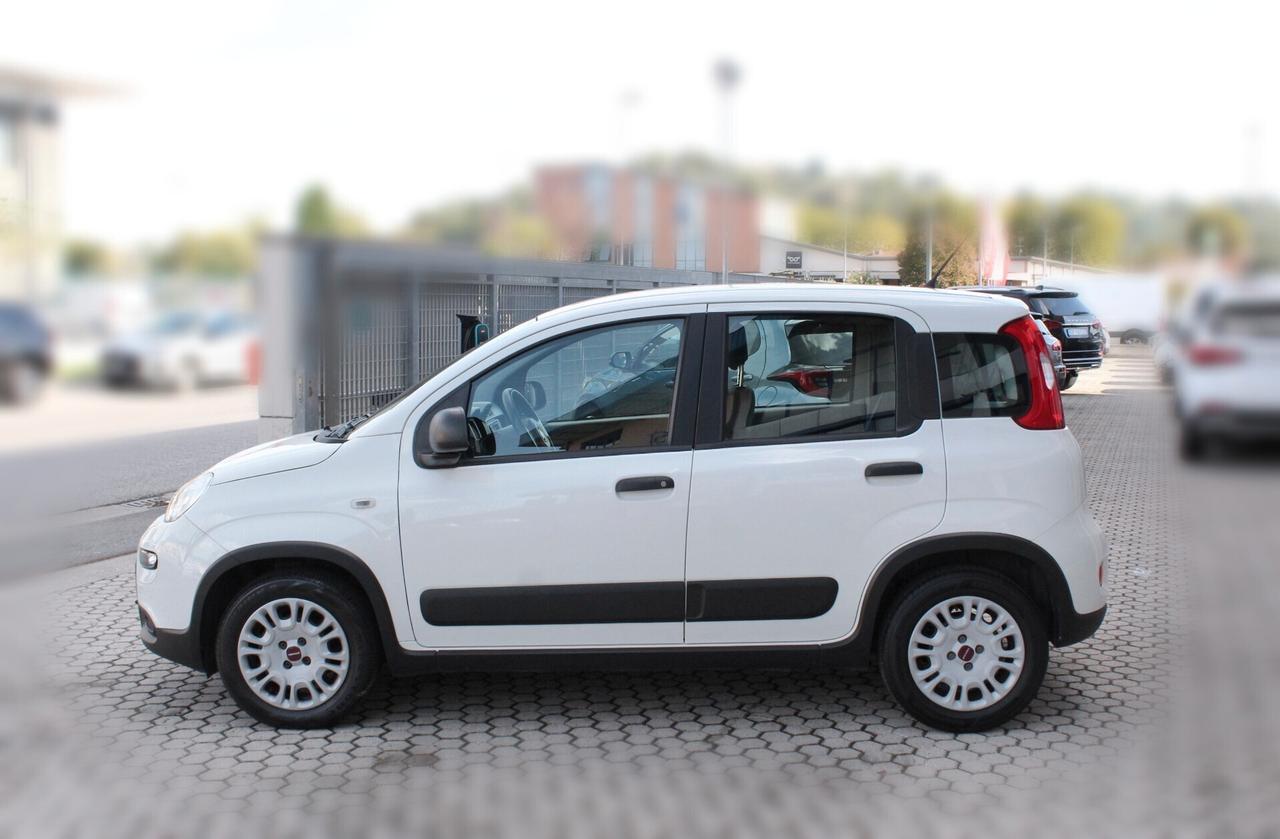Fiat Panda 1.0 Hybrid Van 4 posti