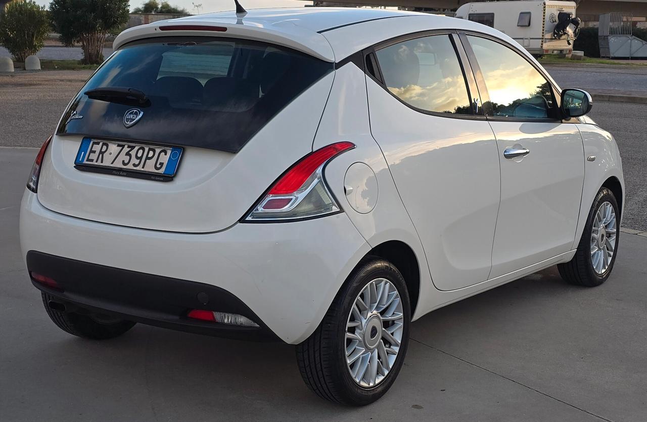 Lancia Ypsilon 1.3 MJT 16V 95 CV 5 porte S&S Platinum