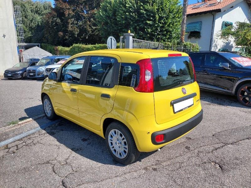 FIAT Panda 3ª serie Panda 1.0 FireFly S&S Hybr...
