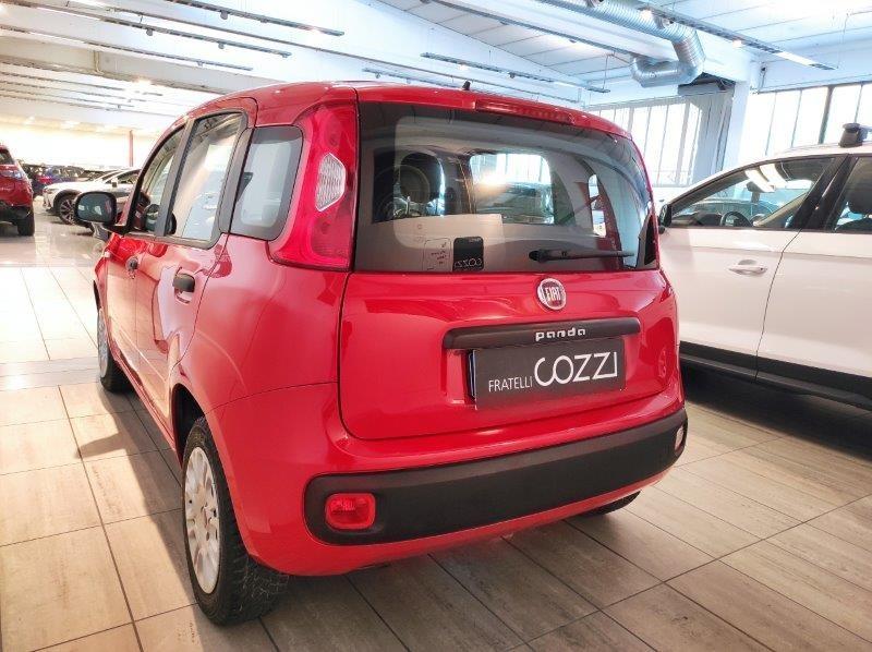 FIAT Panda 3ª serie - Panda 1.2 Easy