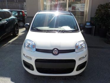FIAT Panda MY25 - 1.0 FireFly Hybrid ICON