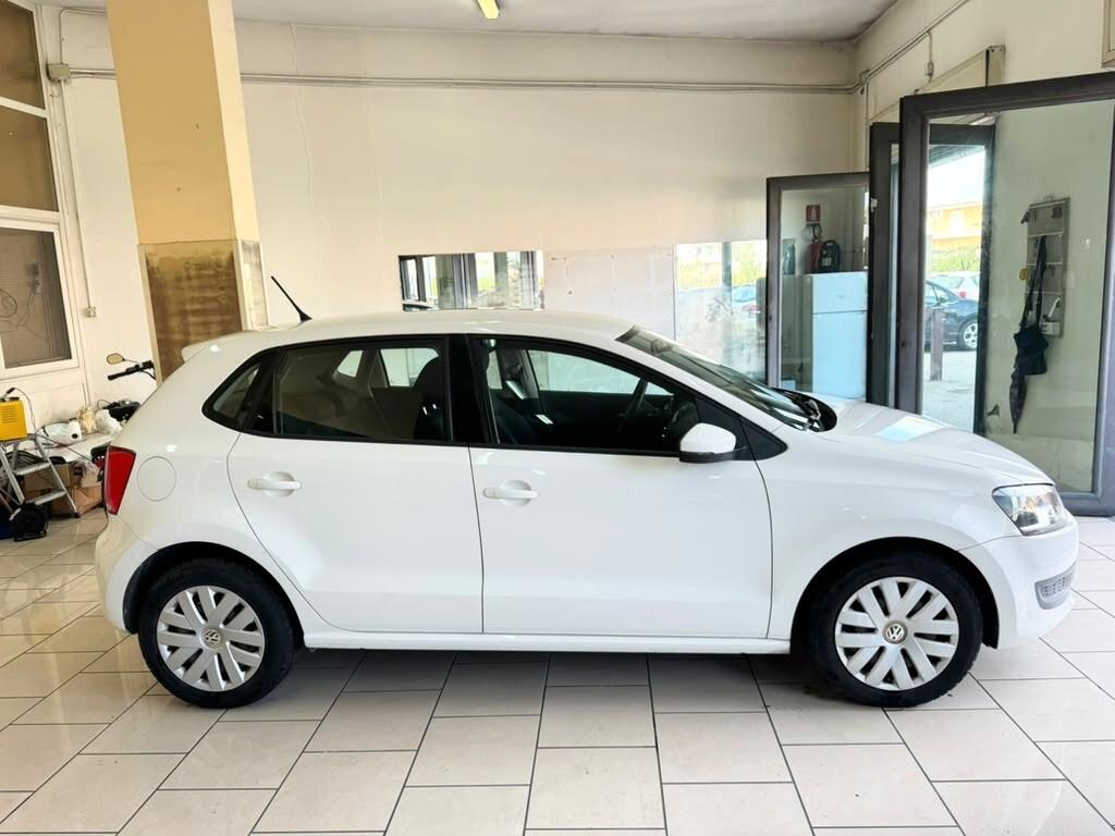 Volkswagen Polo 1.2 TDI 5 porte Comfortline