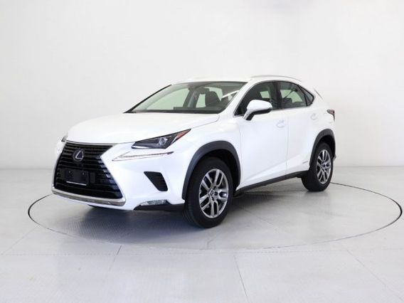 LEXUS Other NX NX Hybrid Business