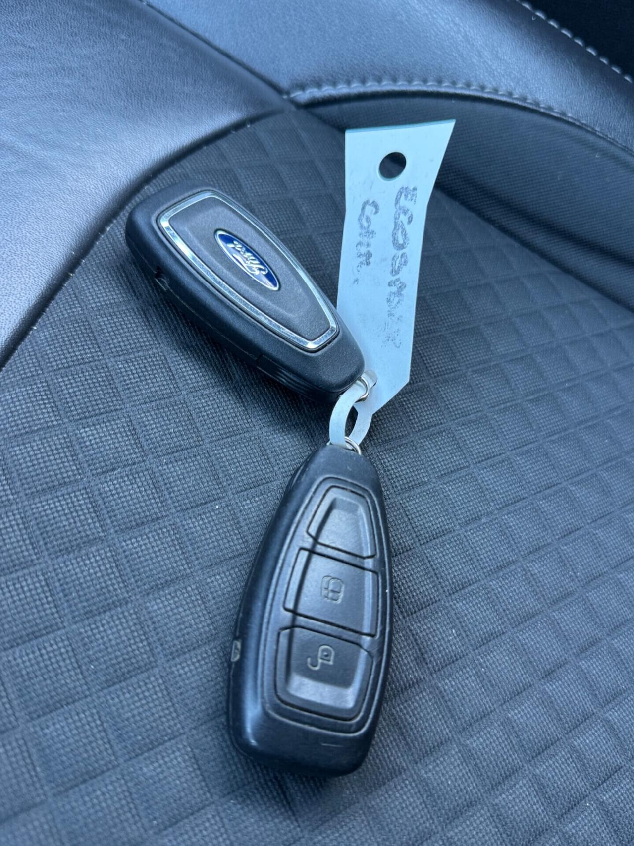 Ford EcoSport 1.0 benzina 125 CV Titanium 2017