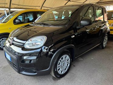 FIAT Pandina III 2024 - Pandina 1.0 firefly hybrid Icon s&s 70cv