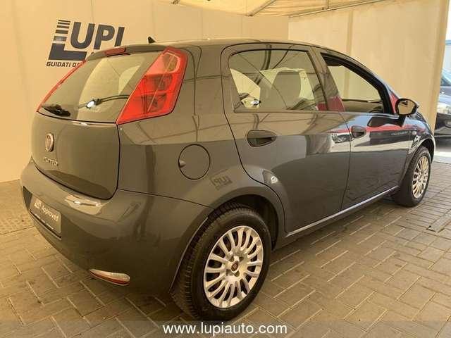 Fiat Punto Fiat Punto Adatta ai neo Patentati