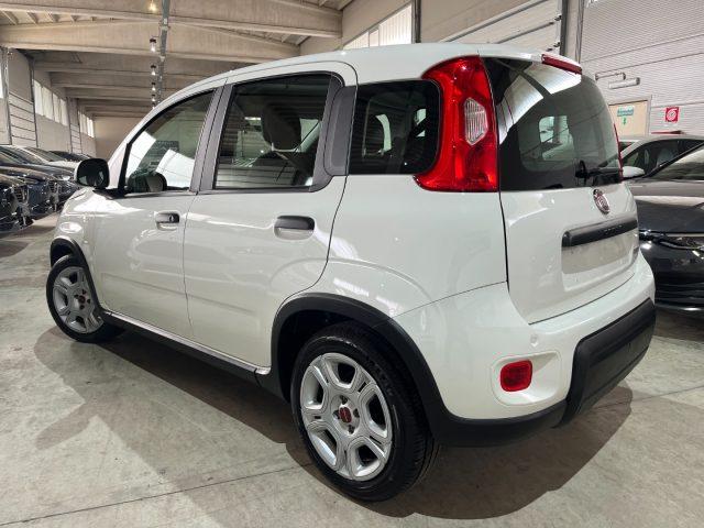 FIAT Panda 1.0 FireFly S&S Hybrid City Life 5 POSTI/VOLA.MULT