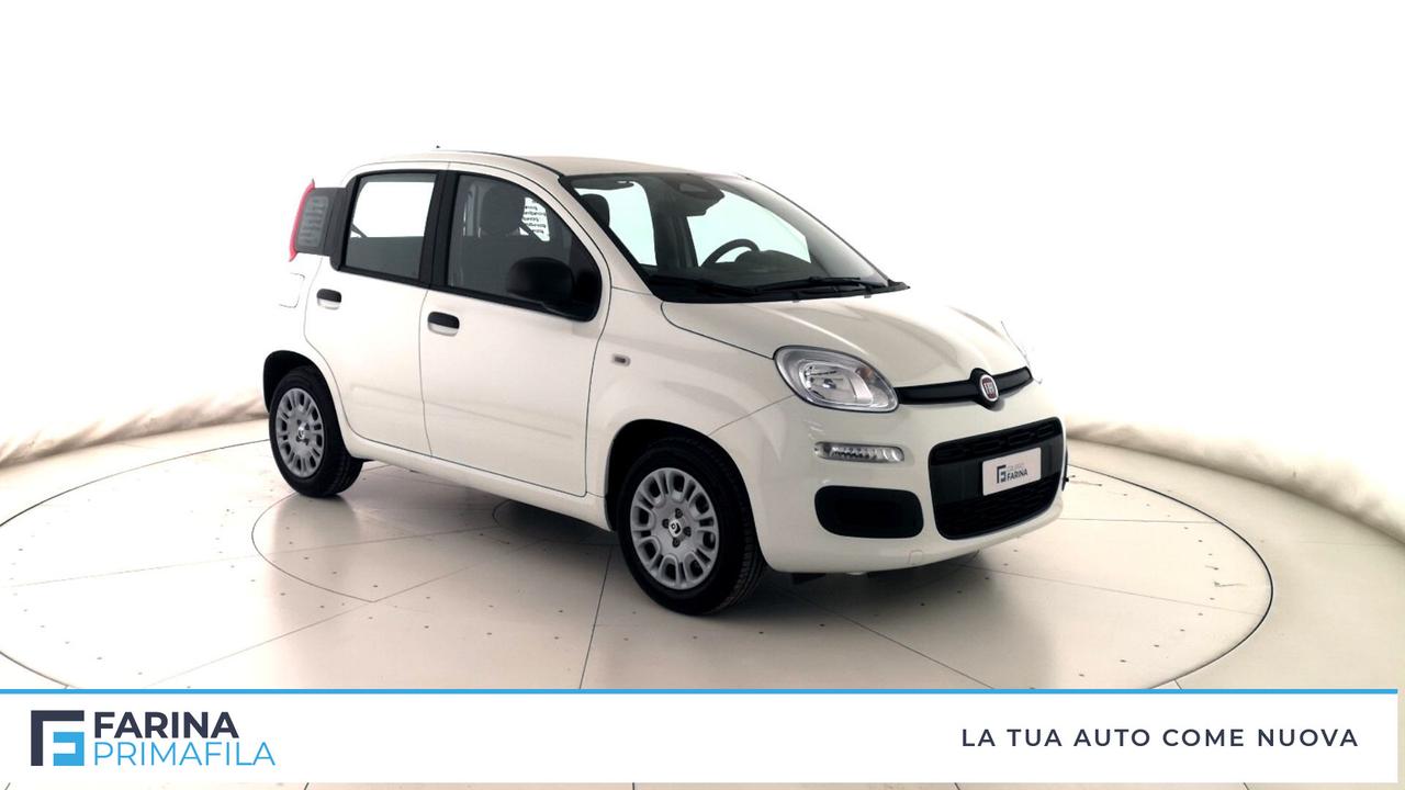 FIAT Panda III 2021 - Panda 1.0 firefly hybrid Pop s&s 70cv