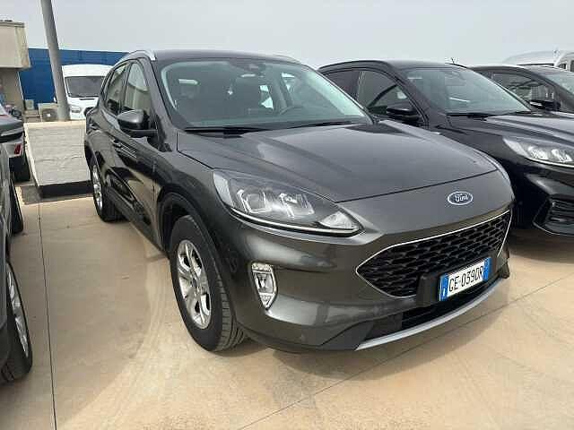 Ford Kuga 1.5 EcoBoost 120 CV 2WD Titanium Business