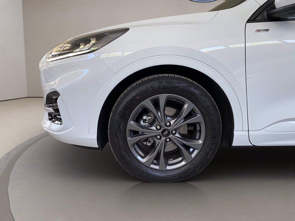 FORD Kuga 2.0 ecoblue ST-Line 2wd 120cv auto del 2024