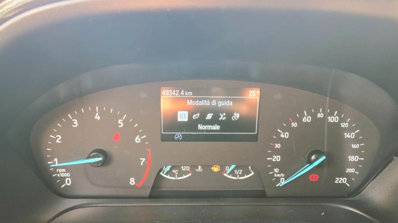 Ford Fiesta 1.0 Ecoboost Hybrid 125 CV 5 porte Active