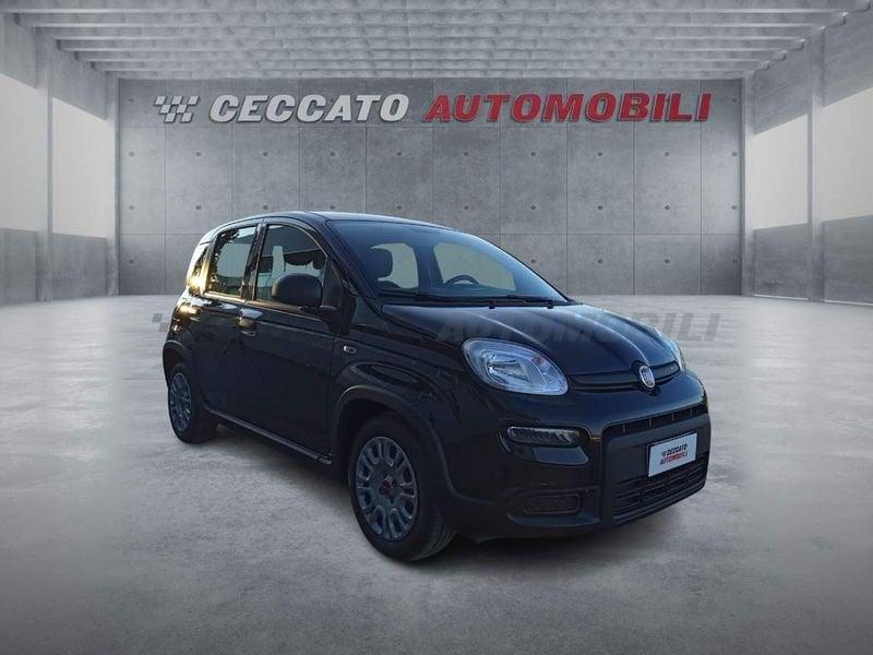 FIAT Panda Panda 1.0 firefly hybrid s&s 70cv