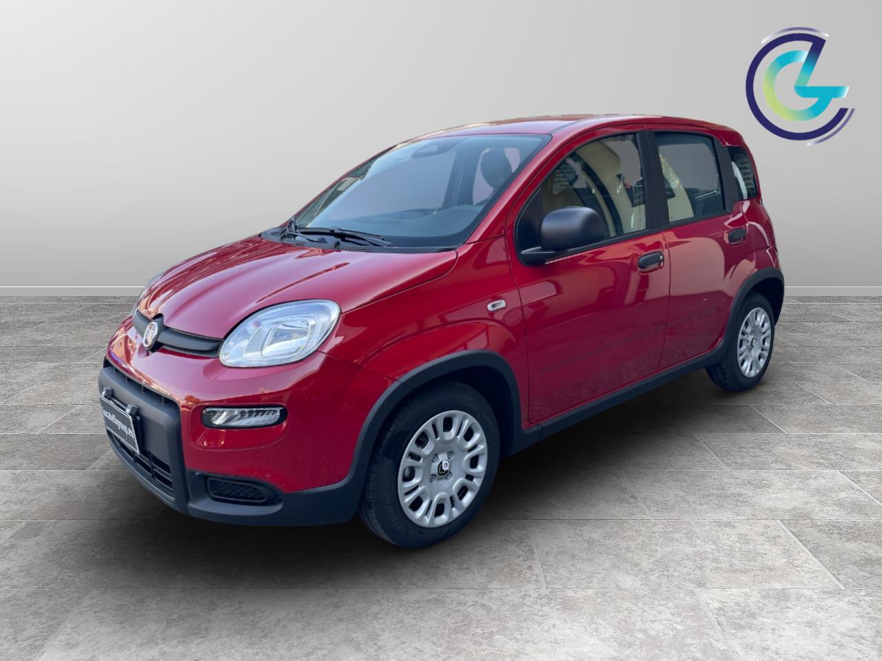 FIAT Panda III 2024 - Panda 1.0 firefly hybrid s&s 70cv