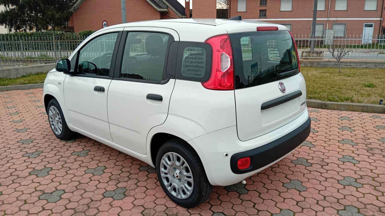 Fiat Panda Pandina 1.0 FireFly 65 CV Hybrid Icon *SENZA VINCOLI DI FINANZIAMENTO*