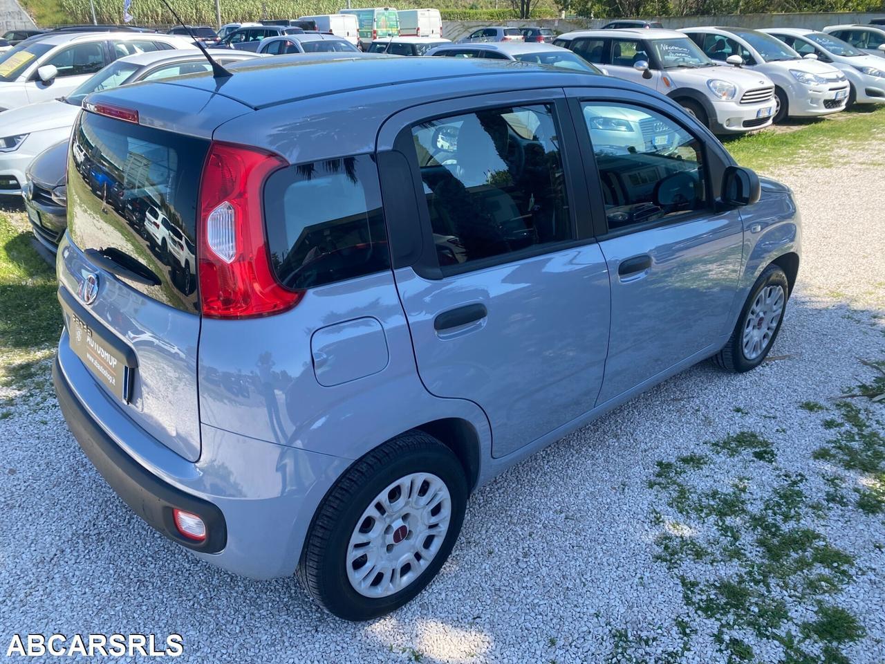 FIAT - Panda - 1.2 Easy - NEOPATENTATI - FINANZIAB