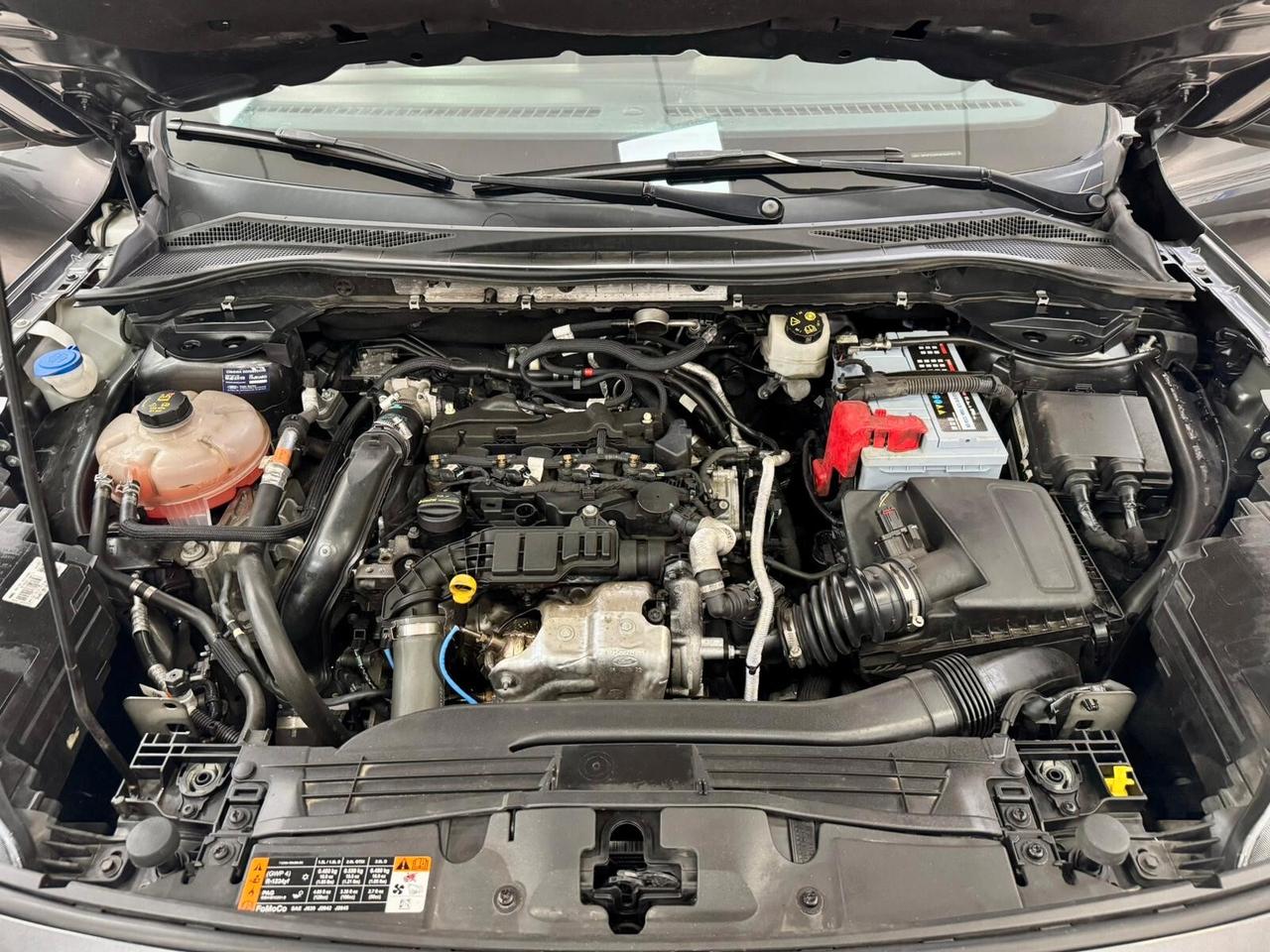 Ford Kuga 1.5 EcoBlue 120cv AUT. ST-Line 2022