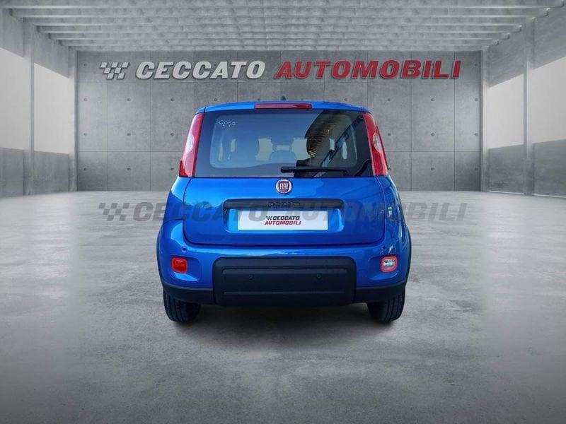 FIAT Panda Panda 1.0 70cv Hybrid Panda