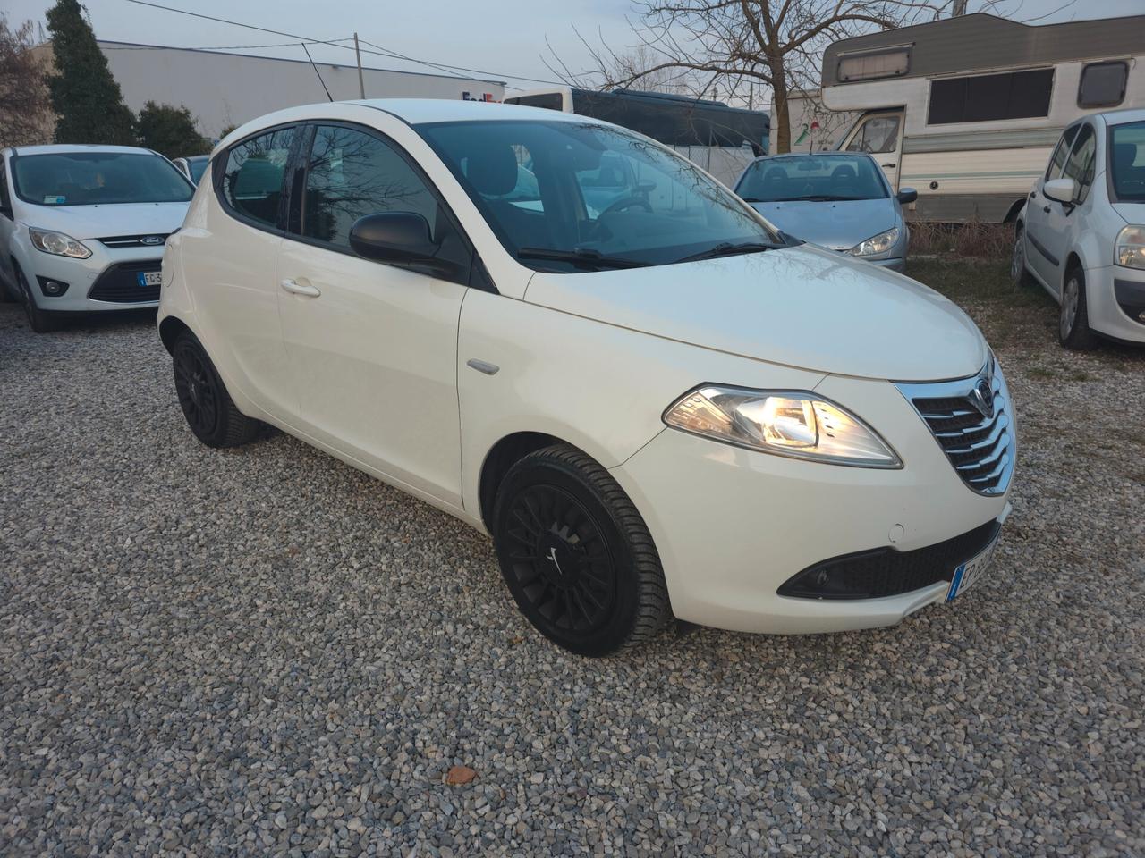 Lancia Ypsilon 1.3 MJT 16V 95 CV 5 porte S&S Platinum