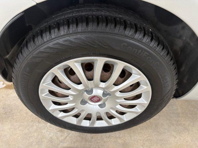 FIAT Punto 1.2 8V 5 porte Street POCHI CHILOMETRI EURO 6