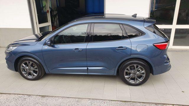 FORD Kuga ST-Line 2.0 EcoBlue 120cv Autom. 8M
