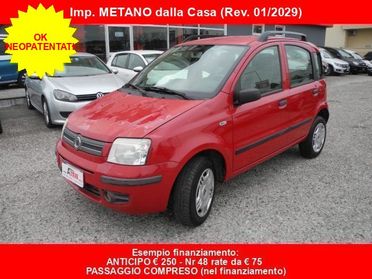 FIAT Panda 1.2 Natural Power -OK NEOPATENTATI- Bombole Nuove