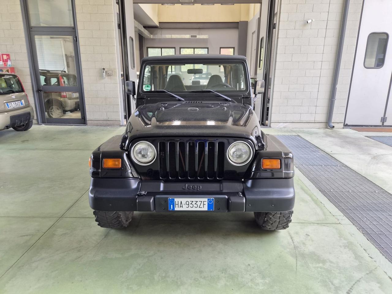 Jeep Wrangler 4.0 cat Sahara