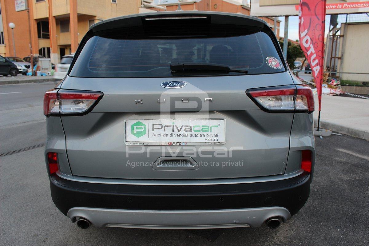 FORD Kuga 1.5 EcoBlue 120 CV 2WD Titanium Business