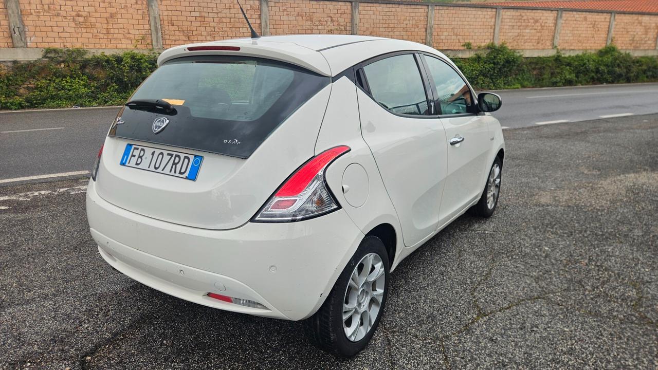 Lancia Ypsilon 1.3 MJT 16V 95 CV 5 porte S&S Platinum