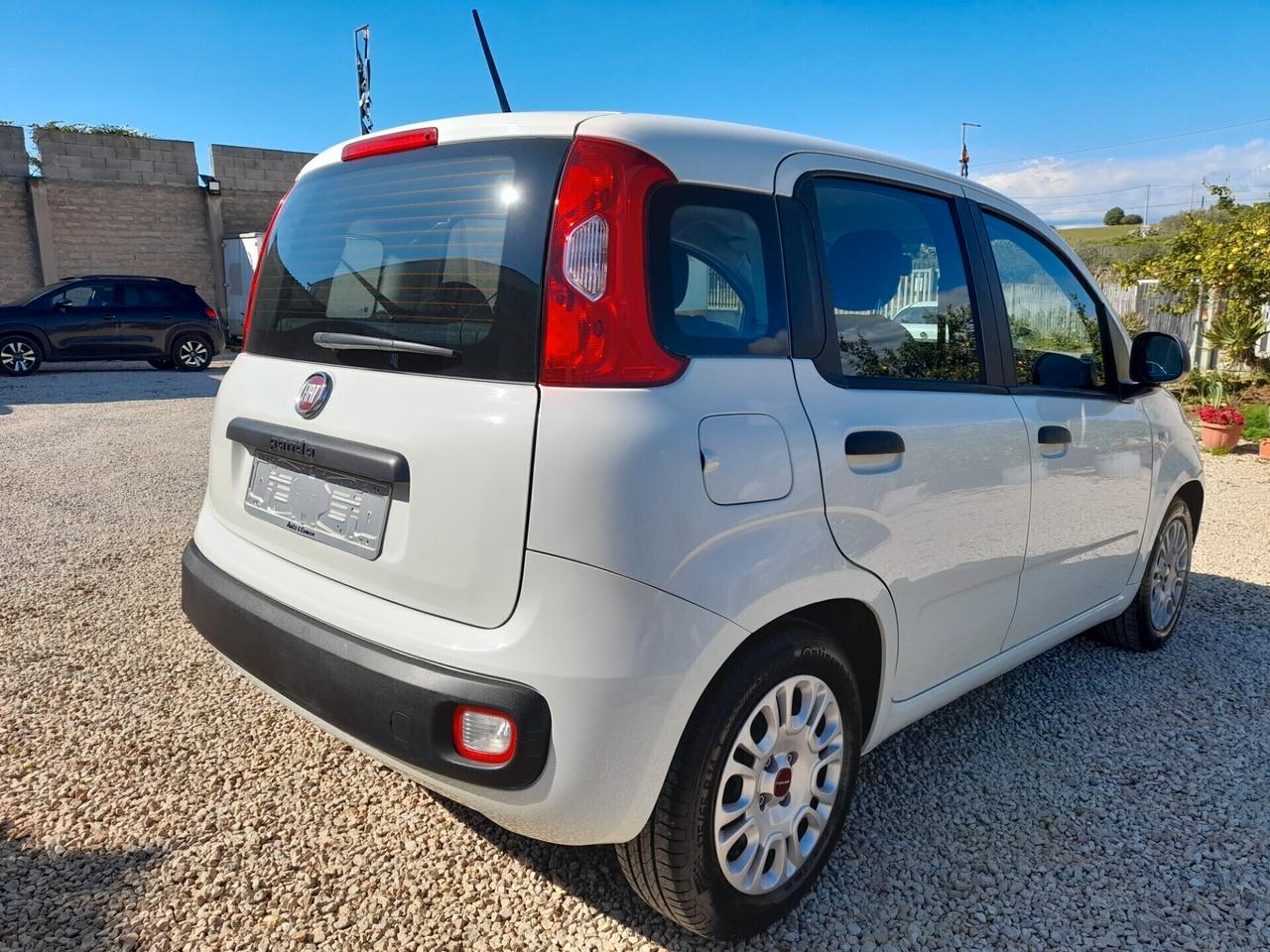 Fiat Panda 1.0FIREFLY S&S ANNO 2021 BENZINA