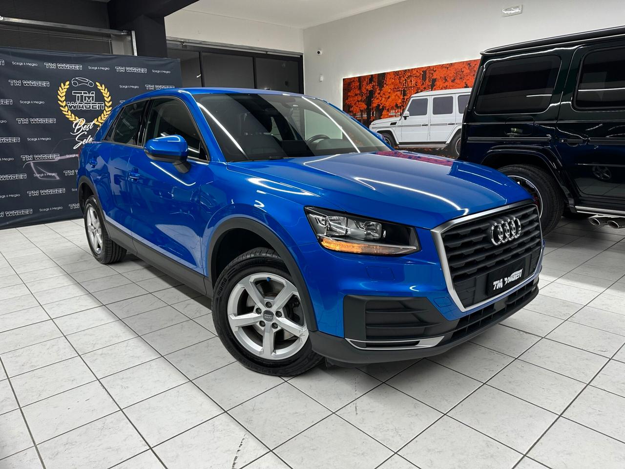 Audi Q2 1.6 tdi Business s-tronic