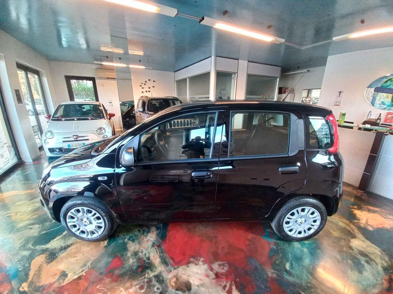 Fiat Panda 1.0 FireFly S&S Hybrid Pandina