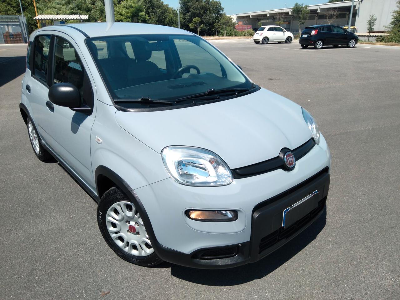 Fiat Panda 1.0 70cv FireFly S&S Hybrid x neopatentati