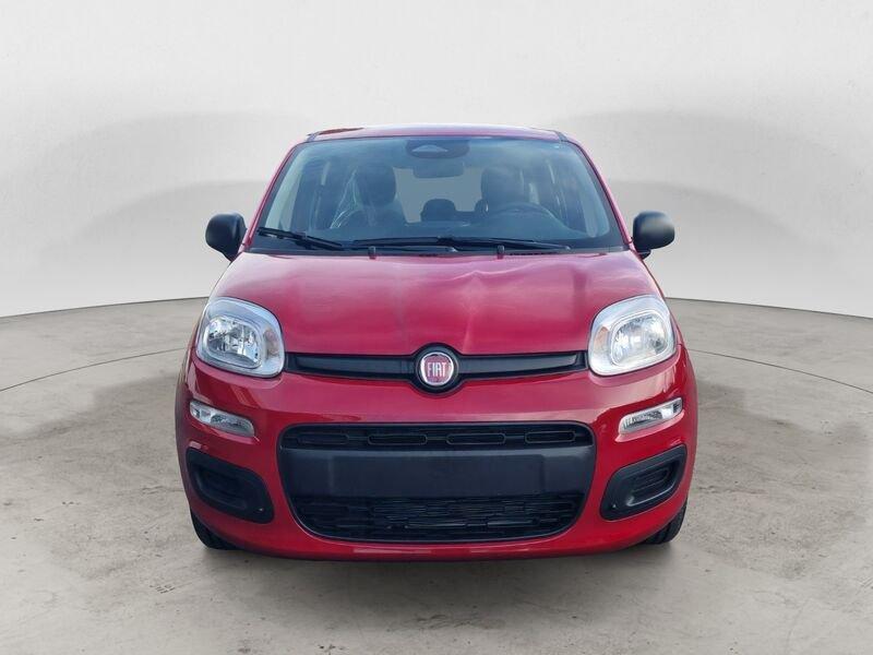 FIAT Panda NEW 1.0 70cv Hybrid Icon