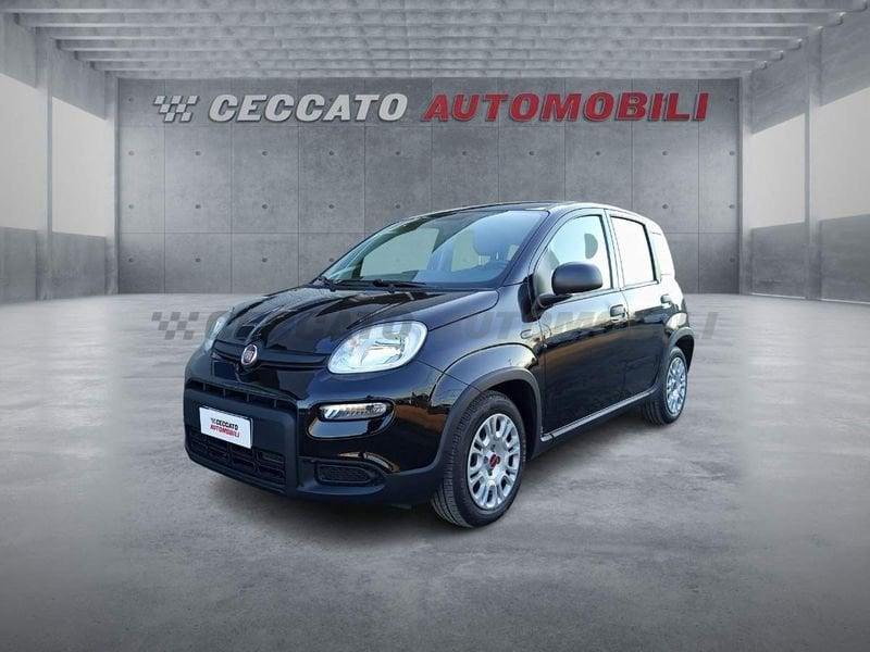 FIAT Panda Panda 1.0 firefly hybrid s&s 70cv