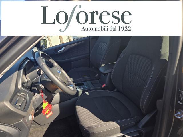 FORD Kuga 1.5 EcoBlue 120 CV aut. 2WD ST-Line