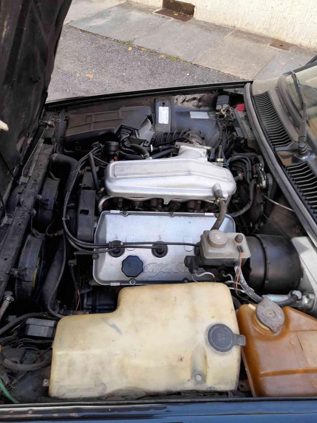 ALFA ROMEO GTV 2.5i V6 BUSSO