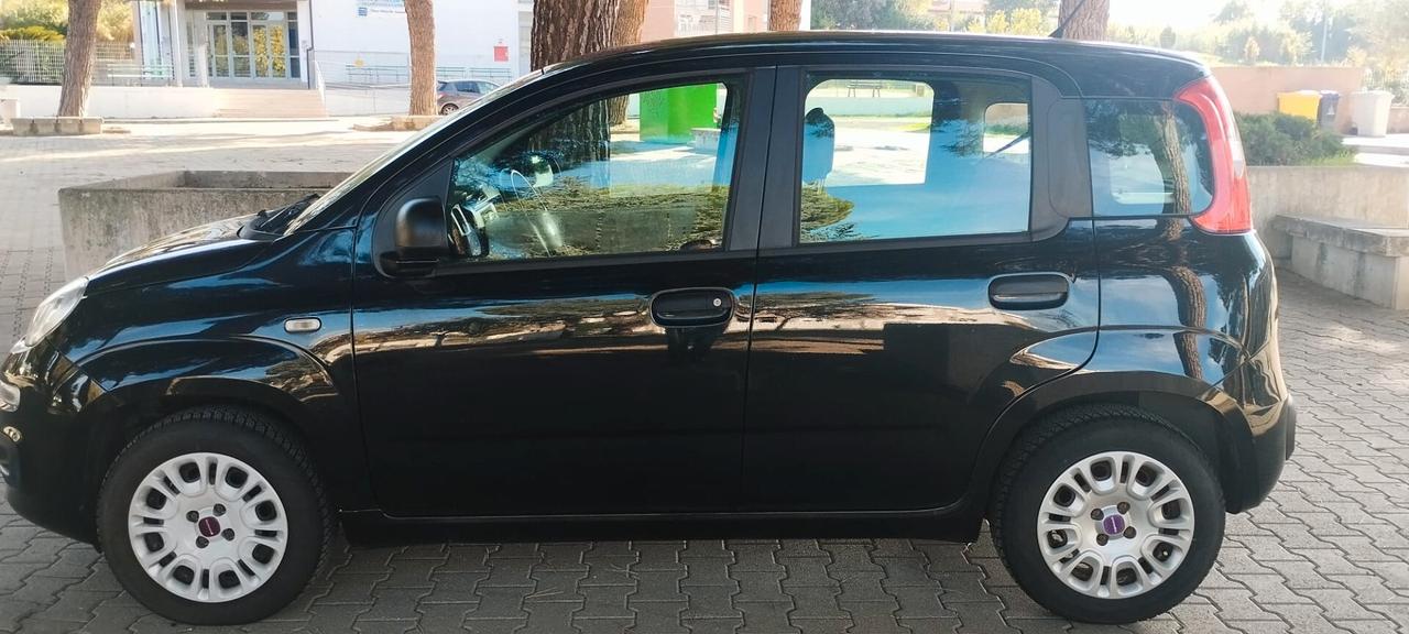 Fiat Panda 1.2 Fire 05/12 Km 48.402 €7900