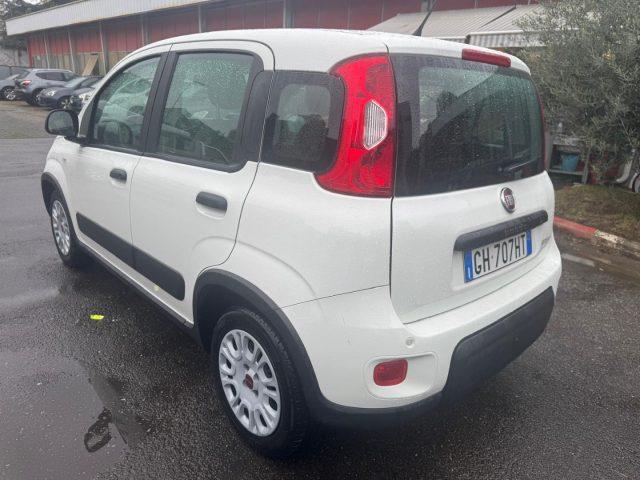 FIAT Panda 1.0 GSE S&S Hybrid Street (AUTOCARRO N1)